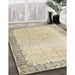 Machine Washable Traditional Khaki Gold Rug in a Family Room, wshtr3281