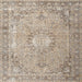 Square Traditional Dark Almond Brown Persian Rug, tr3282