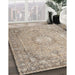 Machine Washable Traditional Dark Almond Brown Rug in a Family Room, wshtr3282