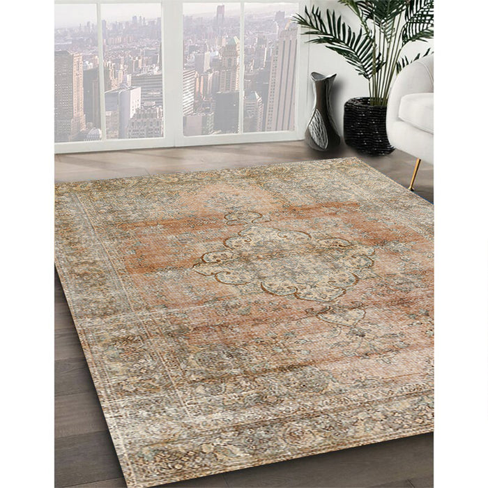 Traditional Dark Almond Brown Persian Rug in Family Room, tr3285