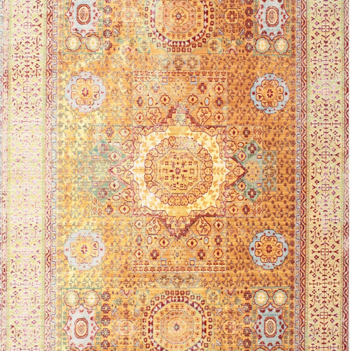 Traditional Brown Gold Persian Rug, tr328