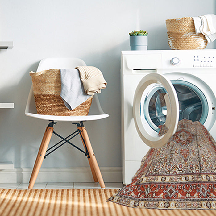 Machine Washable Traditional Brown Rug in a Washing Machine, wshtr3293