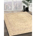 Machine Washable Traditional Sandy Brown Rug in a Family Room, wshtr3294