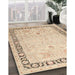 Traditional Khaki Gold Persian Rug in Family Room, tr3295