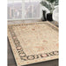Machine Washable Traditional Khaki Gold Rug in a Family Room, wshtr3295