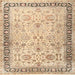 Square Traditional Brown Gold Persian Rug, tr3297