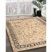 Traditional Brown Gold Persian Rug in Family Room, tr3297