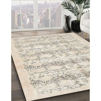 Traditional Light French Beige Brown Persian Rug, tr3298