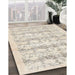 Machine Washable Traditional Light French Beige Brown Rug in a Family Room, wshtr3298