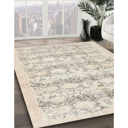 Traditional Light French Beige Brown Persian Rug in Family Room, tr3298