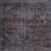 Square Traditional Granite Gray Persian Rug, tr3302