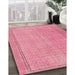 Traditional Pink Persian Rug in Family Room, tr3306