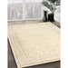 Machine Washable Traditional Brown Rug in a Family Room, wshtr3308