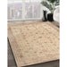 Machine Washable Traditional Brown Rug in a Family Room, wshtr3309