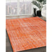 Machine Washable Traditional Coral Orange Rug in a Family Room, wshtr3314