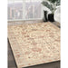 Machine Washable Traditional Gold Rug in a Family Room, wshtr3317