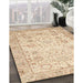 Machine Washable Traditional Khaki Gold Rug in a Family Room, wshtr3318