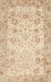 Traditional Khaki Gold Persian Rug, tr3318