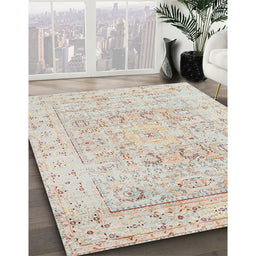 Traditional Light French Beige Brown Oriental Rug in Family Room, tr332