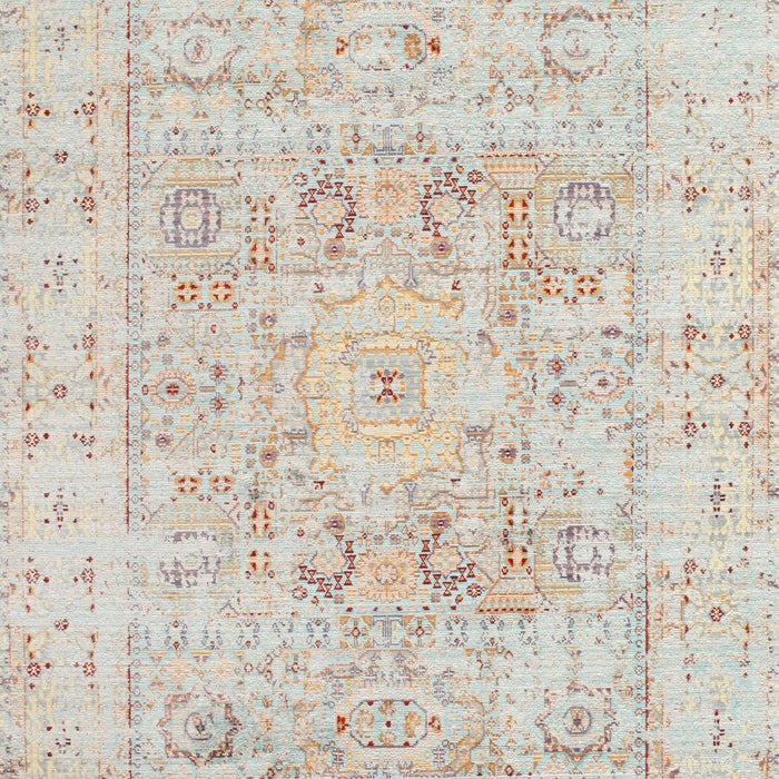 Traditional Light French Beige Brown Oriental Rug, tr332