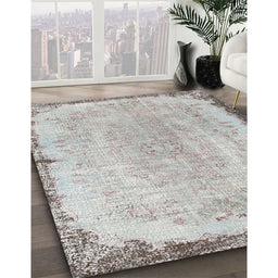 Machine Washable Traditional Grey Gray Rug in a Family Room, wshtr3334