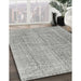 Machine Washable Traditional Pale Silver Gray Rug in a Family Room, wshtr3336