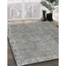 Machine Washable Traditional Gray Rug in a Family Room, wshtr3338