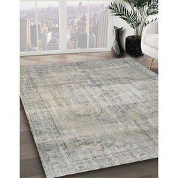 Traditional Pale Silver Gray Persian Rug in Family Room, tr3341