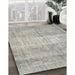 Machine Washable Traditional Pale Silver Gray Rug in a Family Room, wshtr3341