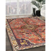 Traditional Tangerine Pink Persian Rug in Family Room, tr3344