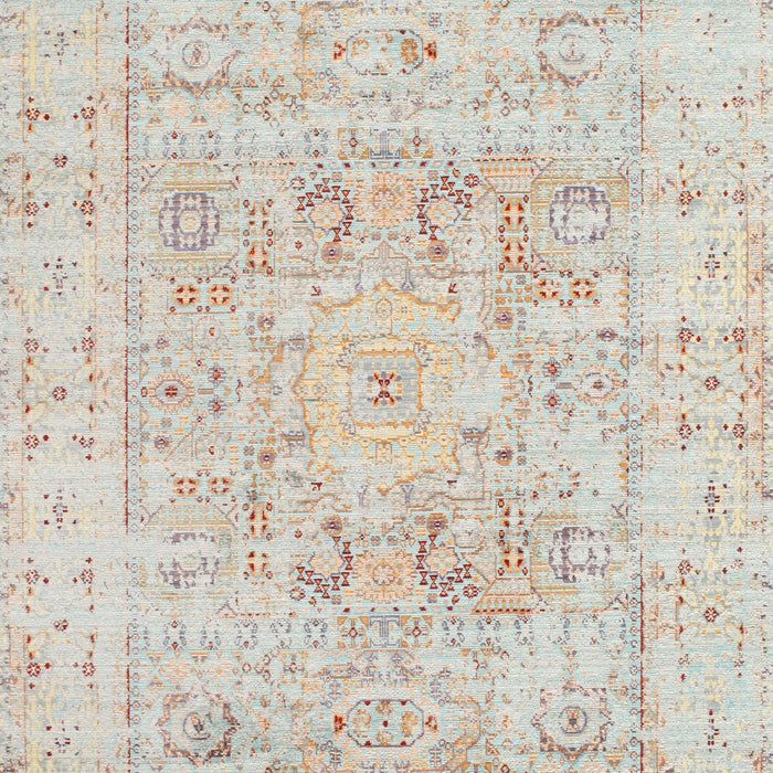 Traditional Light French Beige Brown Persian Rug, tr334