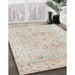 Traditional Light French Beige Brown Persian Rug in Family Room, tr334