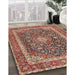 Traditional Brown Red Medallion Rug in Family Room, tr3350