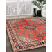 Traditional Tangerine Pink Medallion Rug in Family Room, tr3357