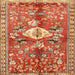 Square Traditional Sand Brown Animal Rug, tr3359