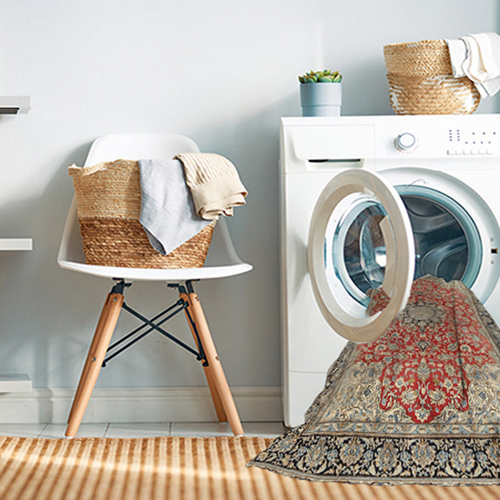 Machine Washable Traditional Brown Rug in a Washing Machine, wshtr3361
