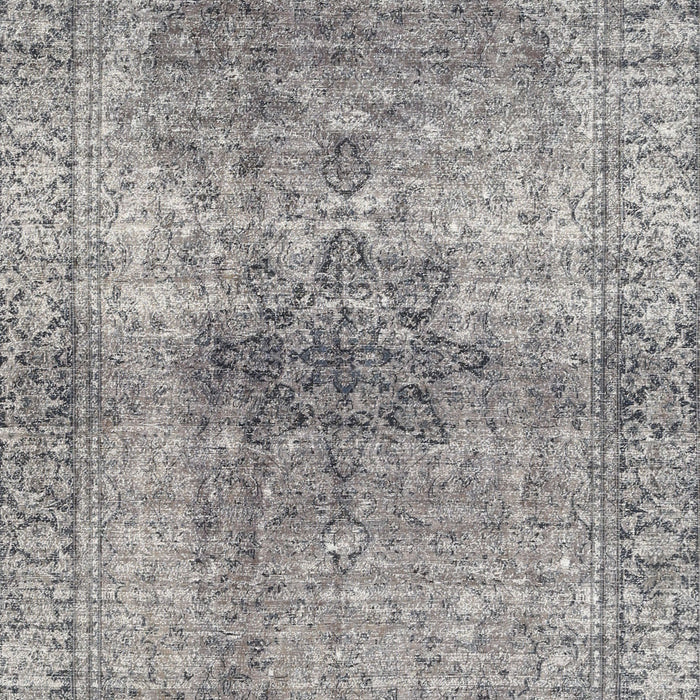 Machine Washable Traditional Gray Rug, wshtr3364