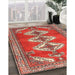 Machine Washable Traditional Light Copper Gold Rug in a Family Room, wshtr3378