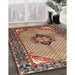 Traditional Sandy Brown Persian Rug in Family Room, tr3382