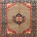 Square Traditional Sandy Brown Persian Rug, tr3382