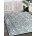 Machine Washable Traditional Light Slate Gray Rug in a Family Room, wshtr3385