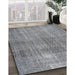 Machine Washable Traditional Grey Gray Rug in a Family Room, wshtr3388