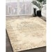 Machine Washable Traditional Brown Rug in a Family Room, wshtr338