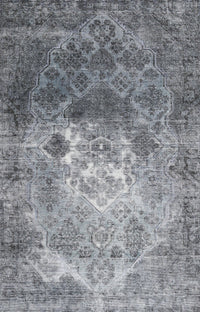 Machine Washable Traditional Ash Gray Rug, wshtr3390