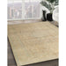 Machine Washable Traditional Brown Rug in a Family Room, wshtr3391