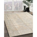 Machine Washable Traditional Tan Brown Rug in a Family Room, wshtr3393