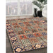 Traditional Red Brown Persian Rug in Family Room, tr3396