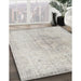 Machine Washable Traditional Dark Gray Rug in a Family Room, wshtr3407