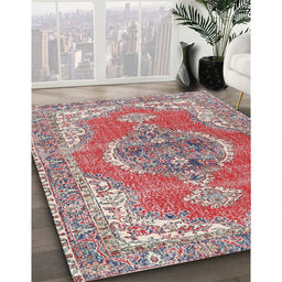 Traditional Brown Red Persian Rug in Family Room, tr3413