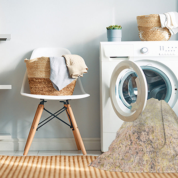 Machine Washable Traditional Brown Rug in a Washing Machine, wshtr3417